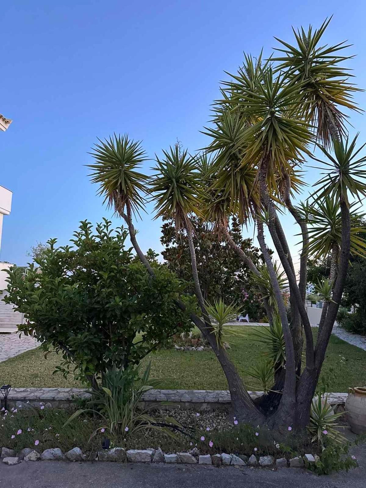 Au Revoir Kalamata Exterior foto
